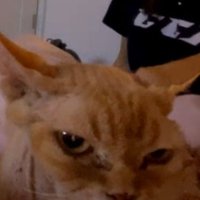 Hamp (@06hamp) 's Twitter Profile