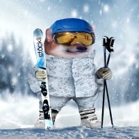 Bartosz TrueFellaski 🇪🇺 🇫🇷 🇵🇱 🤝 🇺🇦 (@bartosztruchle) 's Twitter Profile Photo