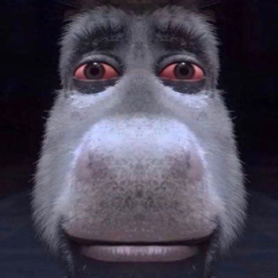 SirLiamBrookey's profile picture. Shit Coin Explorer