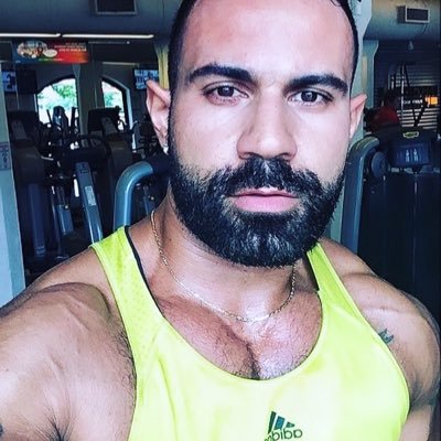 rocajavo's profile picture. 