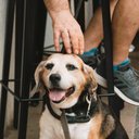 Shannon Maxwell - @ShannonMax77824 - Twitter