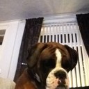 Claire Richardson - @ClaireRichard13 - Twitter