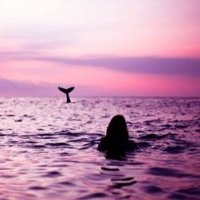 me me me (@chrochetttt) 's Twitter Profile