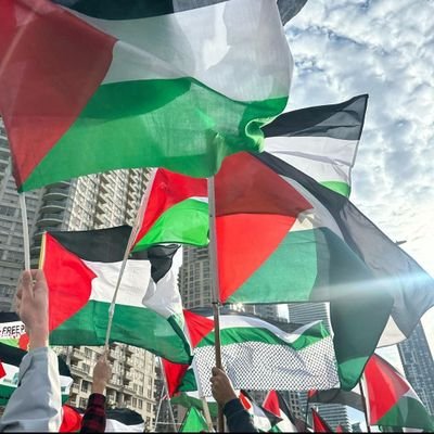 Vivi_Bryant's profile picture. GEMINI♊.