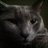 KY2M37's profile image