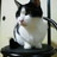 rie.k (@holcombeudw) 's Twitter Profile