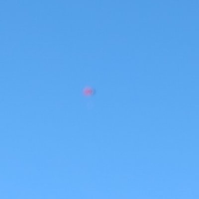 Hatsu5688's profile picture. 