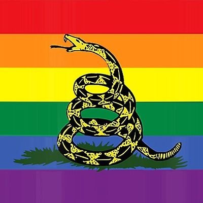 Libertarian
Pro LGBT rights
Slava Ukraini