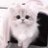 wwjs2__'s profile image