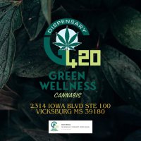 Green Wellness Medical Cannabis(@GeorgeR43593) 's Twitter Profile Photo