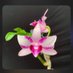 Ta Van Manh (@tamanh8x) Twitter profile photo Ta Van Manh (@tamanh8x) Twitter profile photo