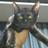 motti1978's profile image