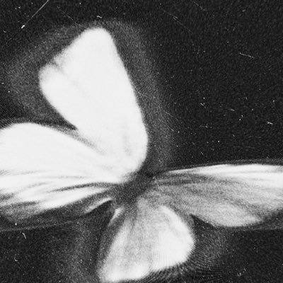 lychn1582872's profile picture. 