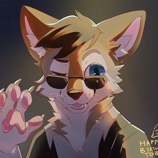 Tobee Coyotee Profile