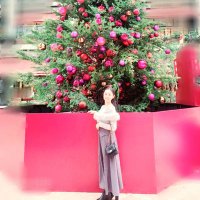 Nanami🎹母 (@nanatetsu2) 's Twitter Profile
