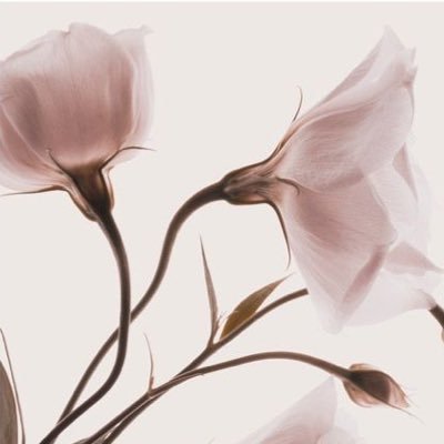 i3gowon's profile picture. 