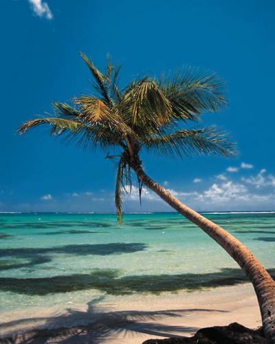 THEPUCKDAY's profile picture. Samuel Hicks Ann Arbor Michigan United States Business Man