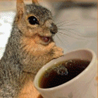 ⒸӓFfɘiꞤatEȡṨk𝓦ɘᴚ𝐋 (@coffee4squirrel) 's Twitter Profile