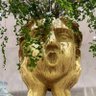 JmPotat0's profile picture. 诚实地沉默、欺骗地发声。
