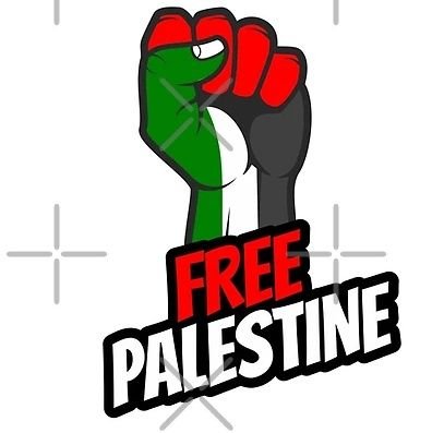 Working to raise awareness and support for Palestine.
 Let's stand together for a just cause 🇵🇸 أعمل على زيادة الوعي والدعم لفلسطين من باكستان.#FreePalestine