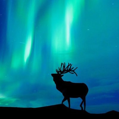 stfwd_str's profile picture. 