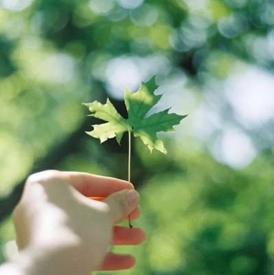 leige7758521's profile picture. 一个韭菜