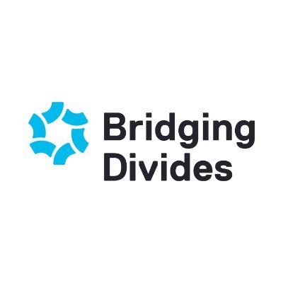 BridgDivides Profile Picture