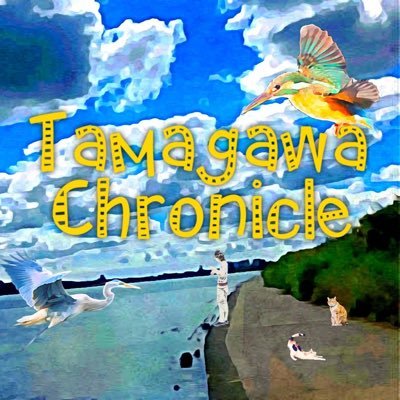 chroTamagawa's profile picture. 前のアカウントにはいれず。 多摩川好き・釣り好き・アウトドア好き❤️ Tamagawa Chronicle