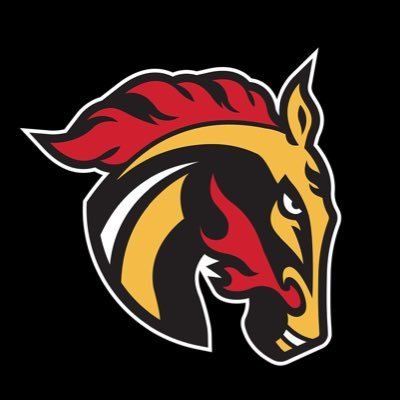 CGYFLAMES8904's profile picture. I have the Calgary Flames in my blood🏒Tennessee Titans fan🏈I love baseball⚾️