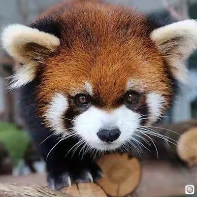 linjon648378's profile picture. 每当我想多给你一点尊重，你便开口说话😐