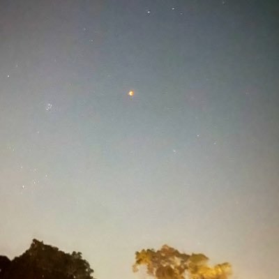 MmmSss677's profile picture. 奨学金限界大学生 肉球新党🐈‍⬛立憲民主党支持