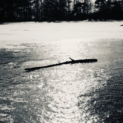 ikada47's profile picture. Blueskyに移行しました ➤ https://t.co/9ofLuJZn3m
このアカウントは休止中です。