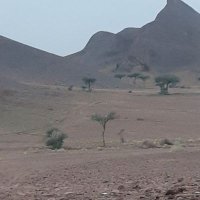عبدالله الميموني (@abd2030ullah) Twitter profile photo