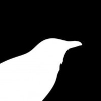 Melanie West (@corvusflies) 's Twitter Profile
