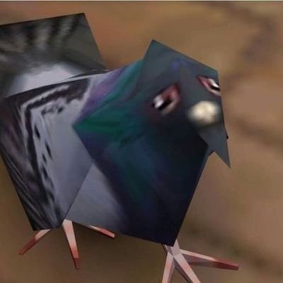 BledHeartPigeon Profile Picture