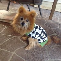 Margi Watson (@watsonmarg68714) 's Twitter Profile