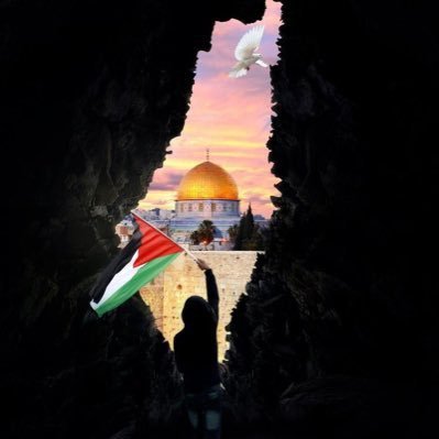 yaaasalaam's profile picture. 🇵🇸