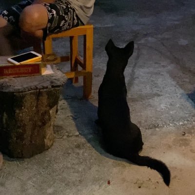 Pearx17's profile picture. 