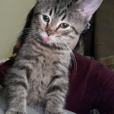 PozoAdrianna's profile picture. 18 :3