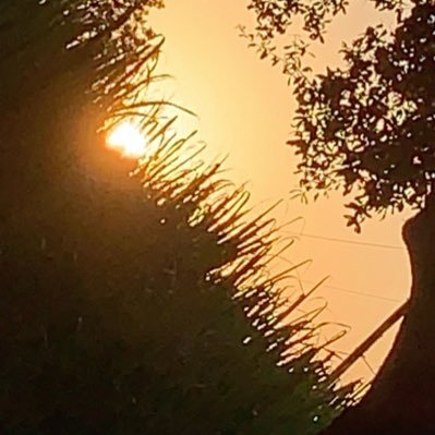 imhim8787's profile picture. 