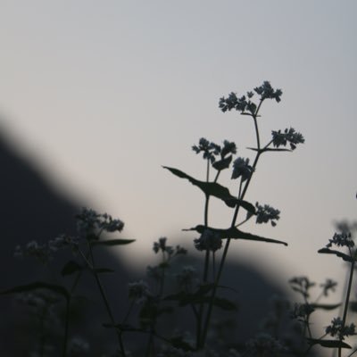 LukeMengwenan's profile picture. 