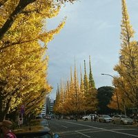 古い学校のリーダーズ (@royalfish9) Twitter profile photo