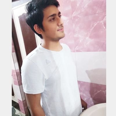NipunSh21861378's profile picture. SDE Intern @ Noise | DTU '24 | Web Dev | DSA |
           'Name with a Pun'