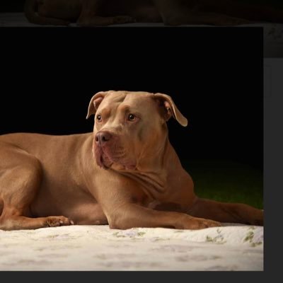 sigeemon1's profile picture. 会社経営