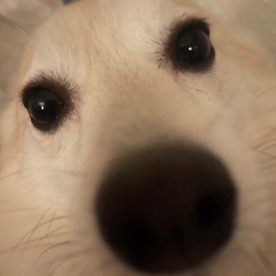 BigMike7104's profile picture. 