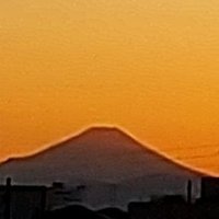 ゆう (@narumamaniyu) 's Twitter Profile Photo ゆう (@narumamaniyu) 's Twitter Profile Photo