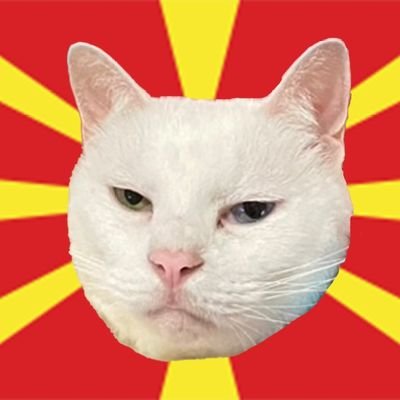 トルメキアの猫使いさんのプロフィール画像