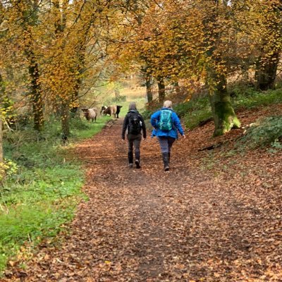 VioletBessy's profile picture. Travel, the great outdoors, running, cycling, walking, fine wine, Bath rugby. And stuff. Silent train spotter too.