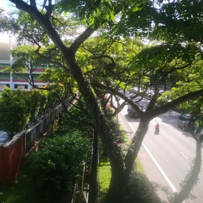 ylzdlg's profile picture. 