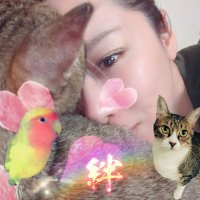え-みィ。(@mikkurabu) 's Twitter Profile Photo